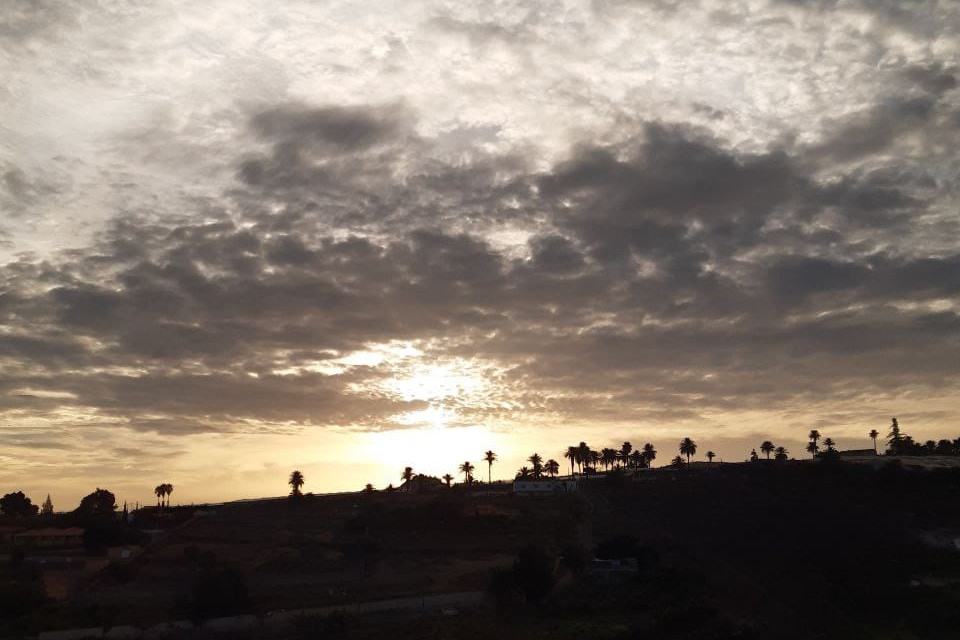 a horse and a small white pony in front of the kitchen building made of wood and glass