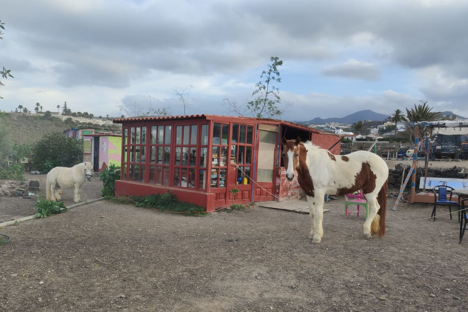 a breakfast table with a horse in the background